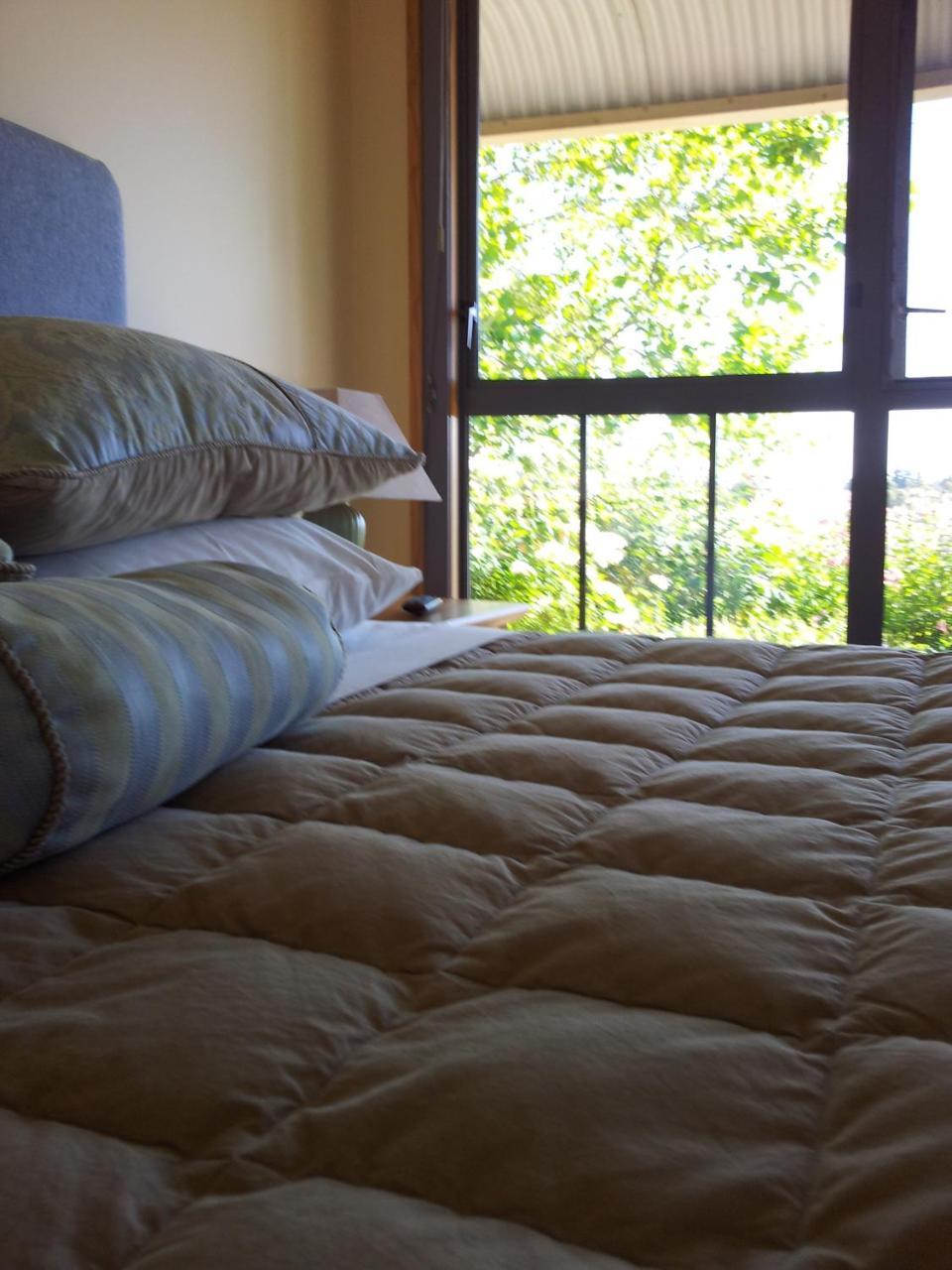 Hawkdun Rise Vineyard & Accommodation Alexandra Zewnętrze zdjęcie